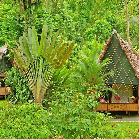 Finca Exotica Eco Lodge Carate Exteriör bild