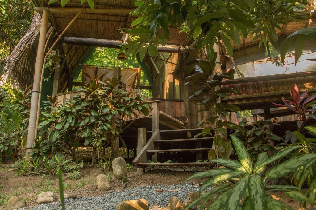 Finca Exotica Eco Lodge Carate Exteriör bild