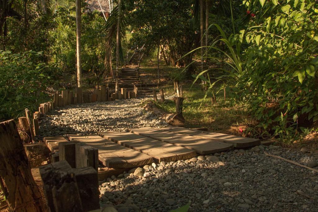 Finca Exotica Eco Lodge Carate Exteriör bild