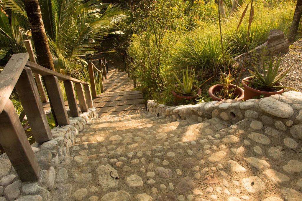 Finca Exotica Eco Lodge Carate Exteriör bild