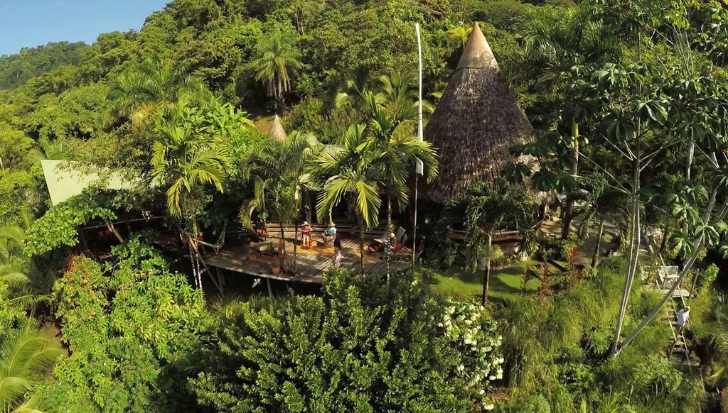 Finca Exotica Eco Lodge Carate Exteriör bild