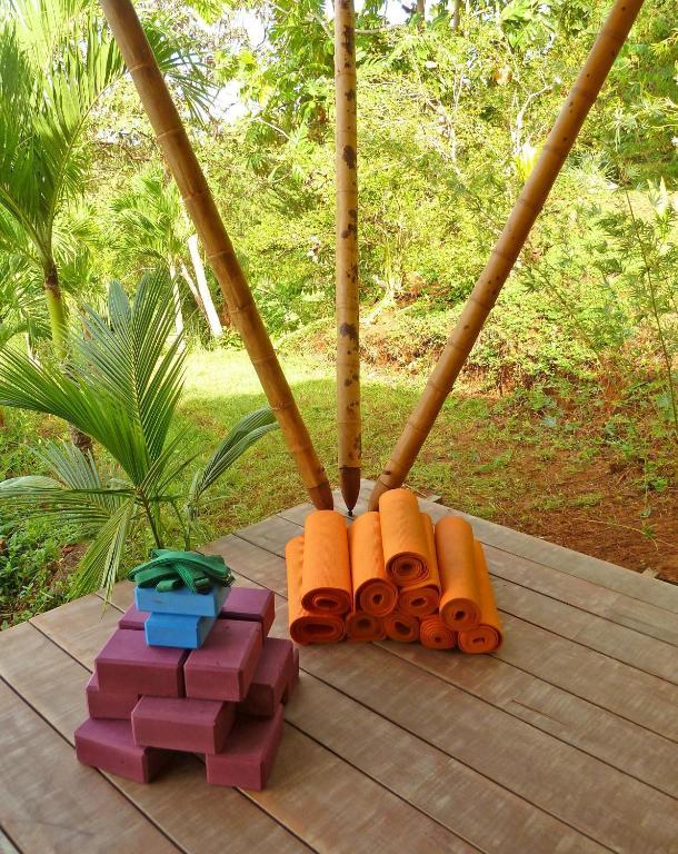Finca Exotica Eco Lodge Carate Exteriör bild